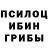 Псилоцибиновые грибы Psilocybe Sevick Family