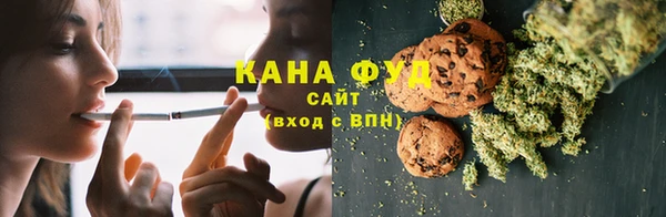 мдпв Верхний Тагил