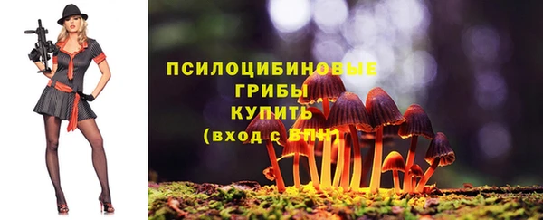 мдпв Верхний Тагил