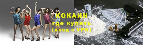 мдпв Верхний Тагил