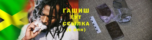 стаф Бородино