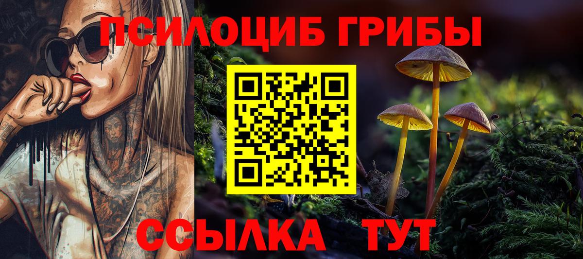 Галлюциногенные грибы Magic Shrooms  Псилоцибиновые грибы Cubensis  Вход с VPN  Славянск-на-Кубани 