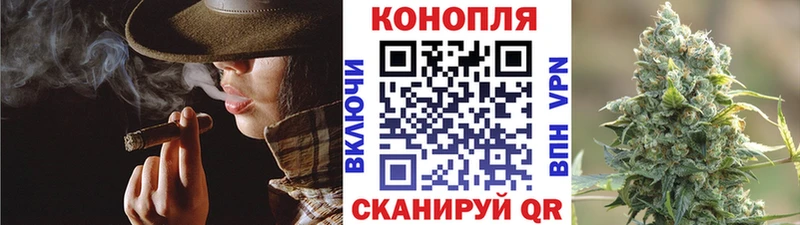 Бошки Шишки планчик Славянск-на-Кубани